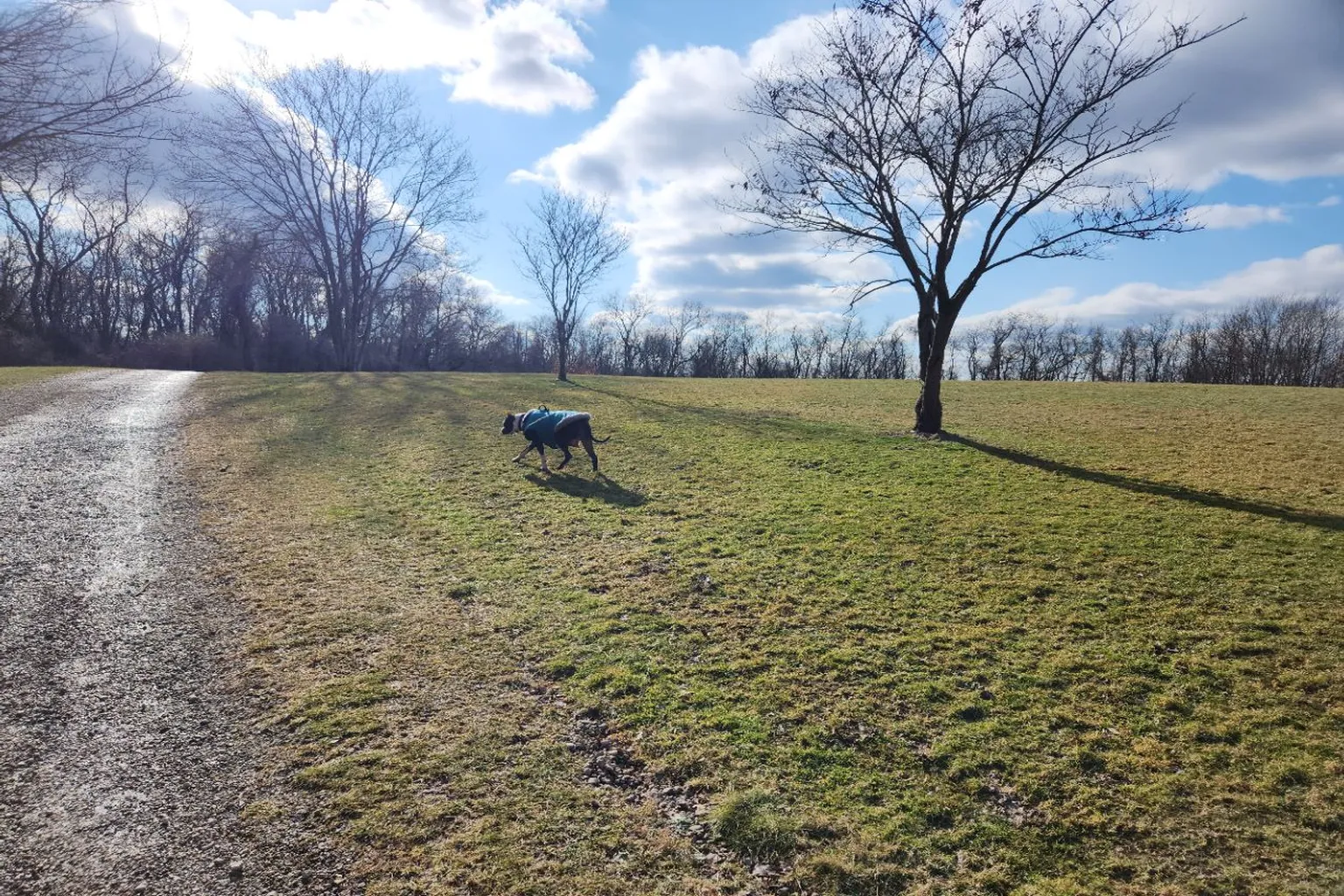 Sewickley Heights Borough Park Off Leash Area in Sewickley Heights, Pennsylvania