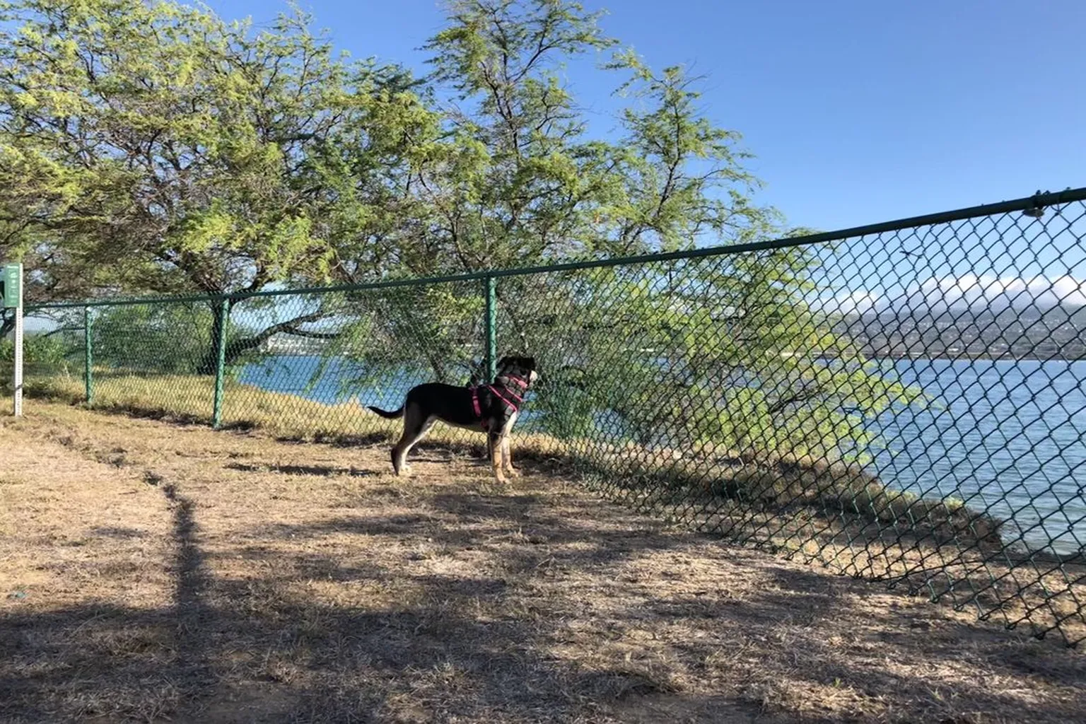 Ford Island Dog Park in Honolulu, Hawaii - Main Image