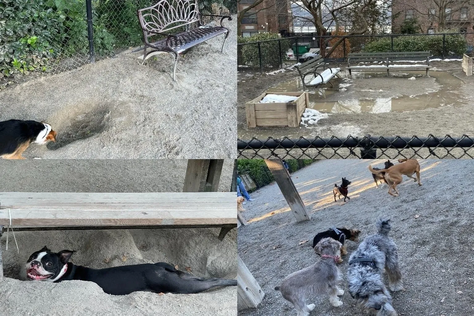 J. Hood Wright Dog Run in New York, New York