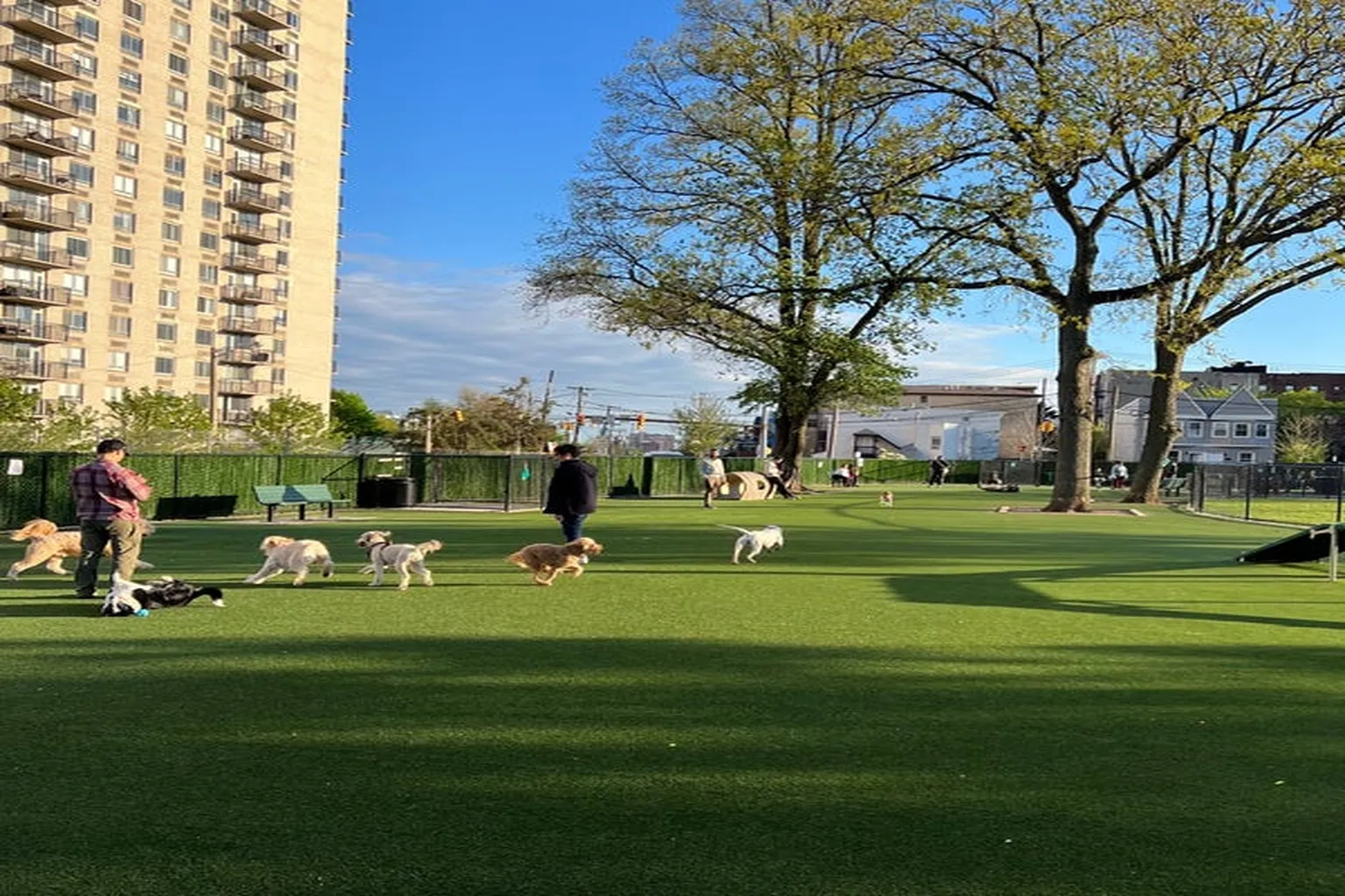 Washington Dog Park in Union City, New Jersey