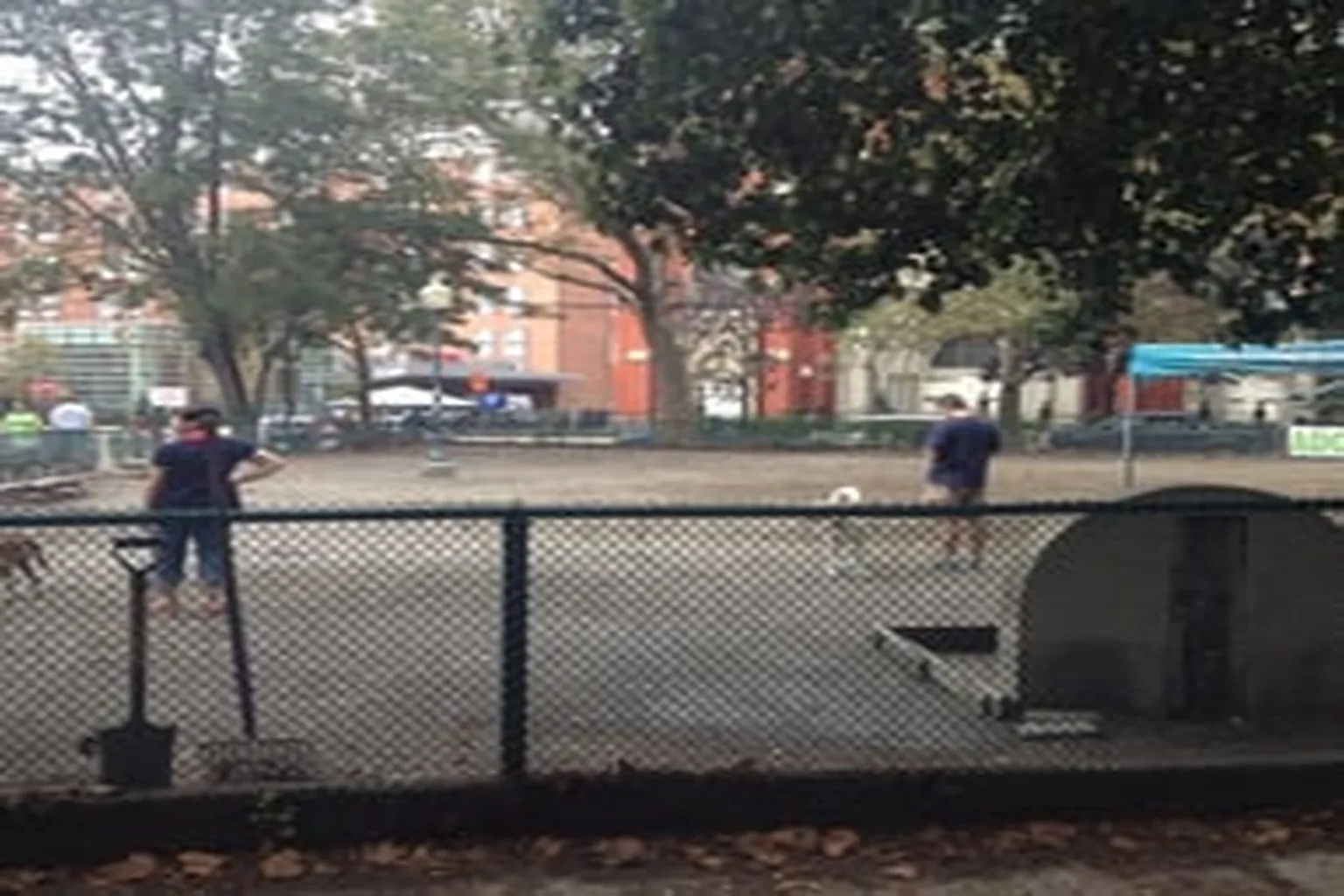 Church Square Dog Park in Hoboken, New Jersey