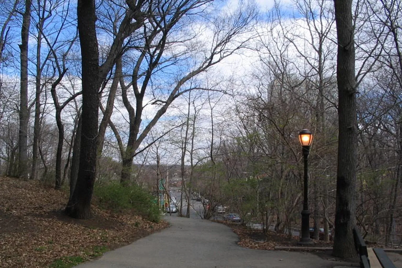 Frank S. Hackett Dog Park in New York City, New York