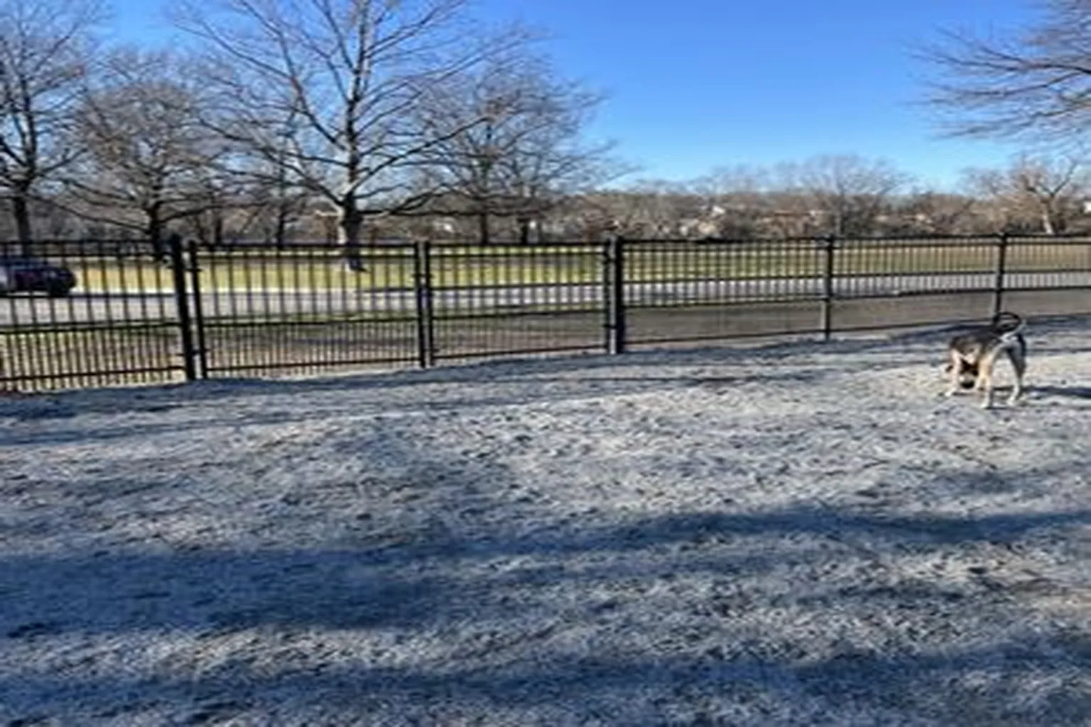 Riverside County Park Dog Run in Lyndhurst, New Jersey - Main Image
