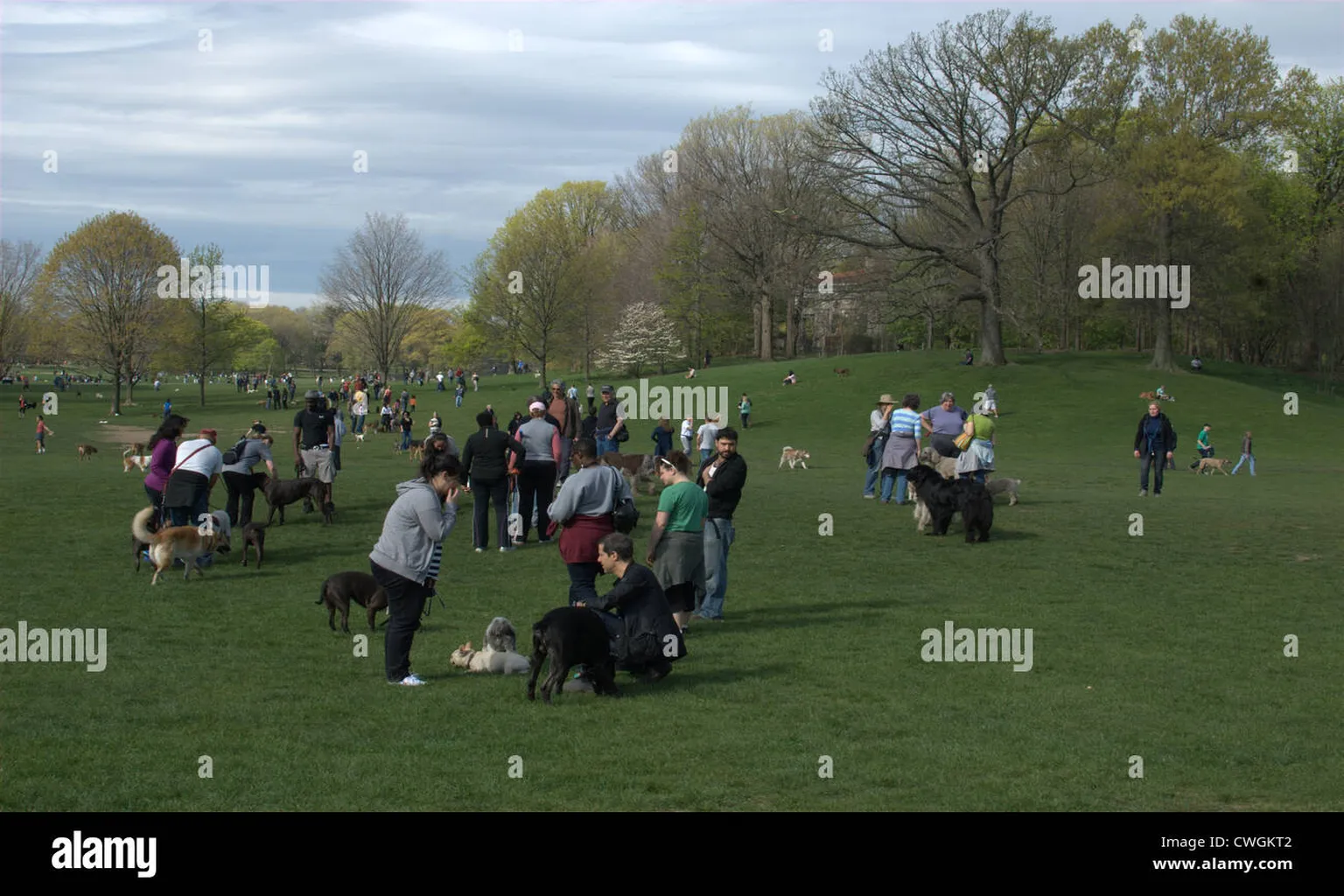 Prospect Park in Brooklyn, New York