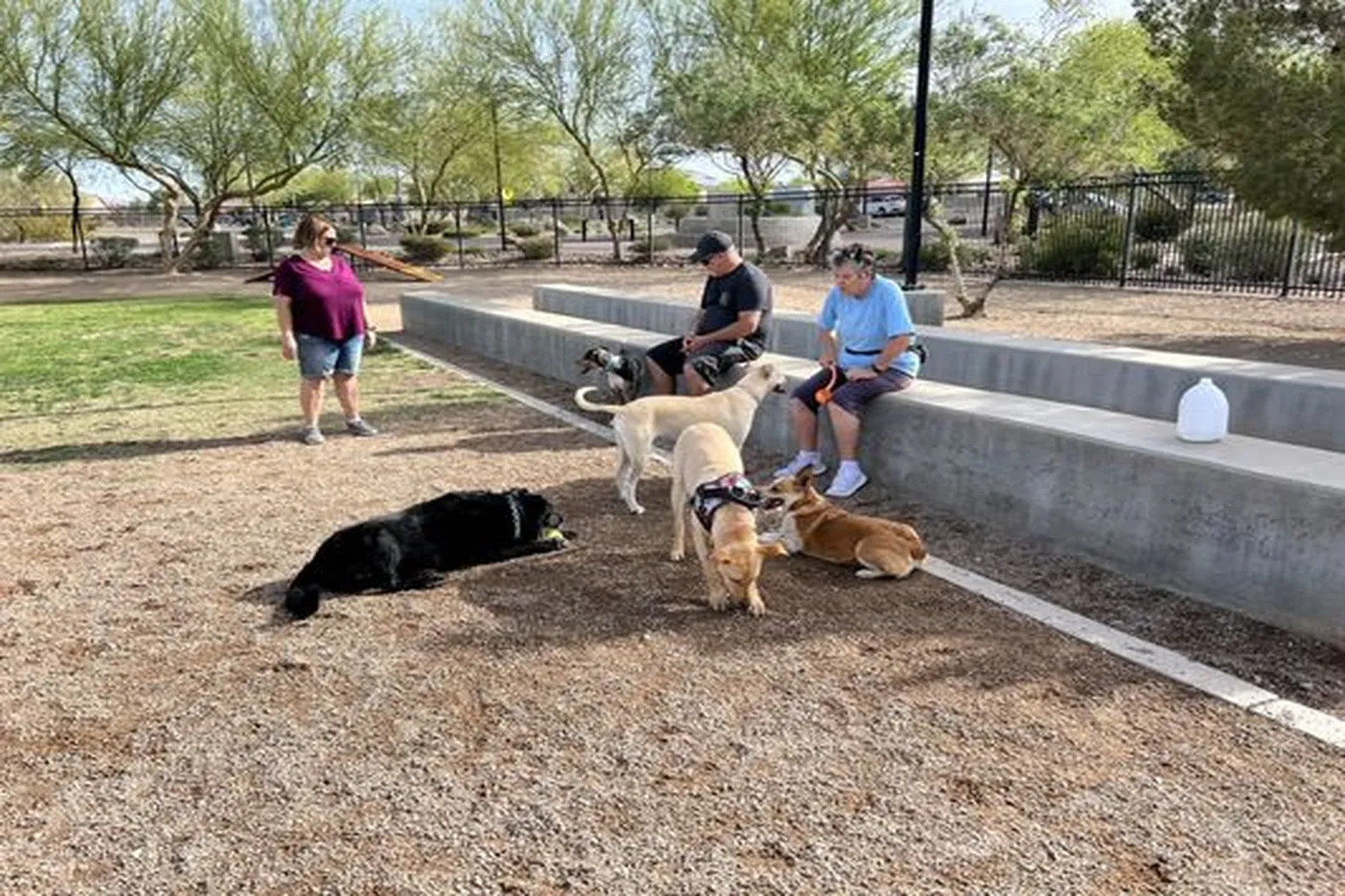 Bark Park At Heritage Park in Henderson, Nevada - Main Image