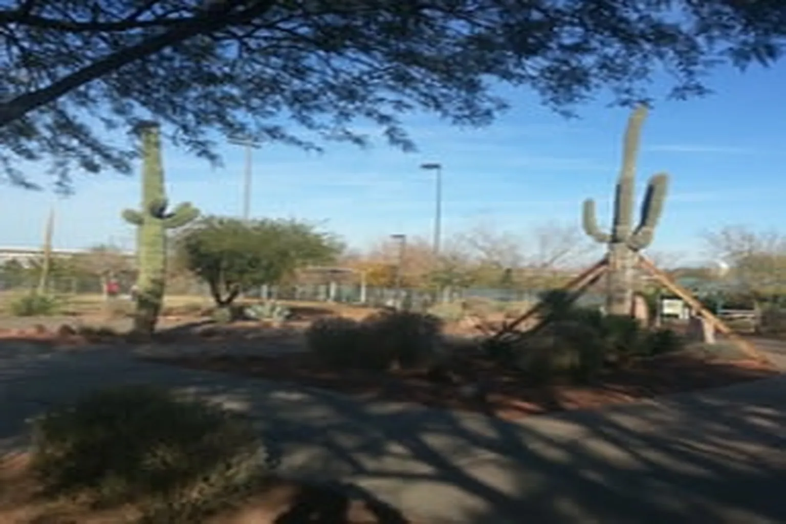Acacia Dog Park in Henderson, Nevada - Main Image