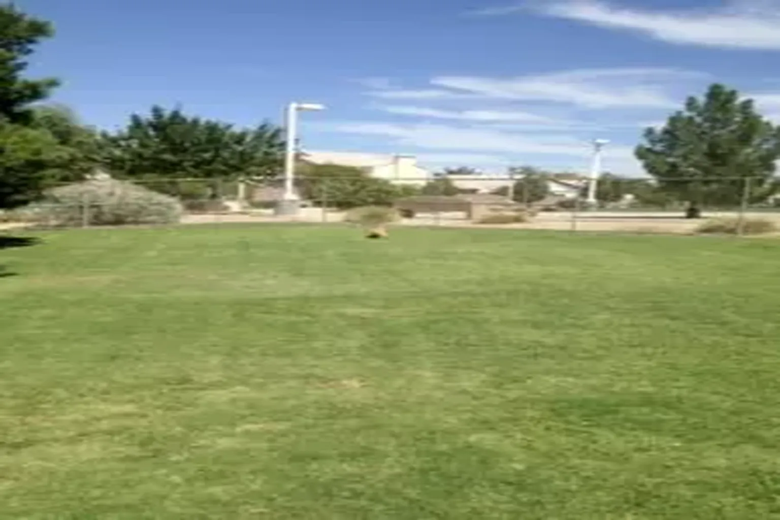 Amador Vista Dog Park in Henderson, Nevada