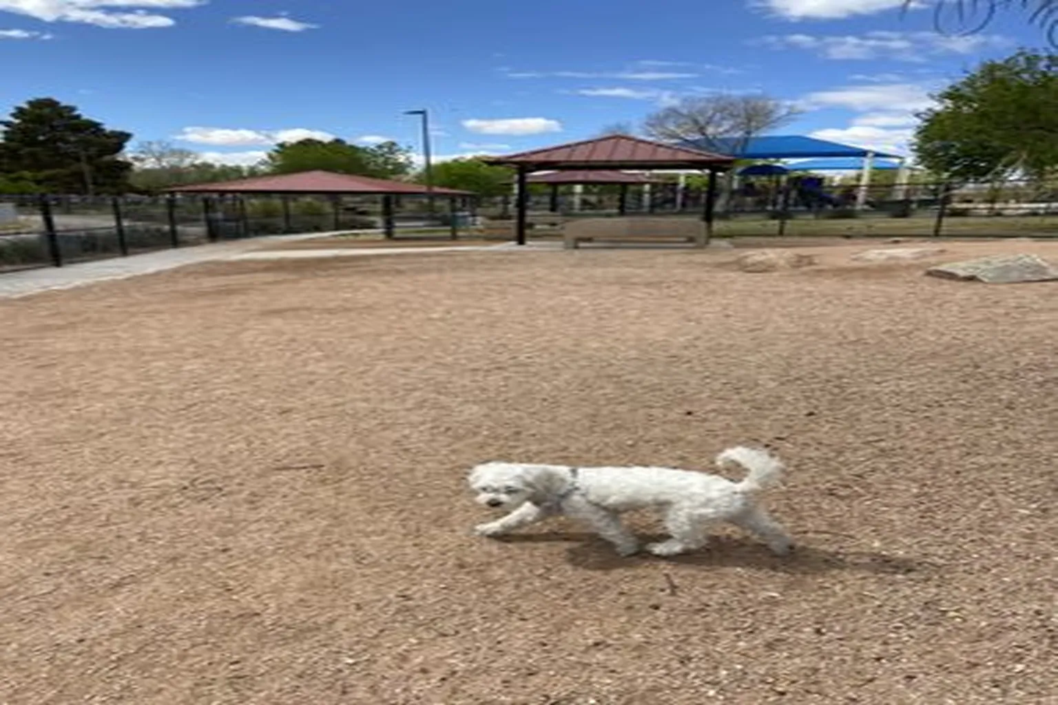 Justice Myron E. Leavitt Dog Park (Formerly Jaycee Park) in Las Vegas, Nevada