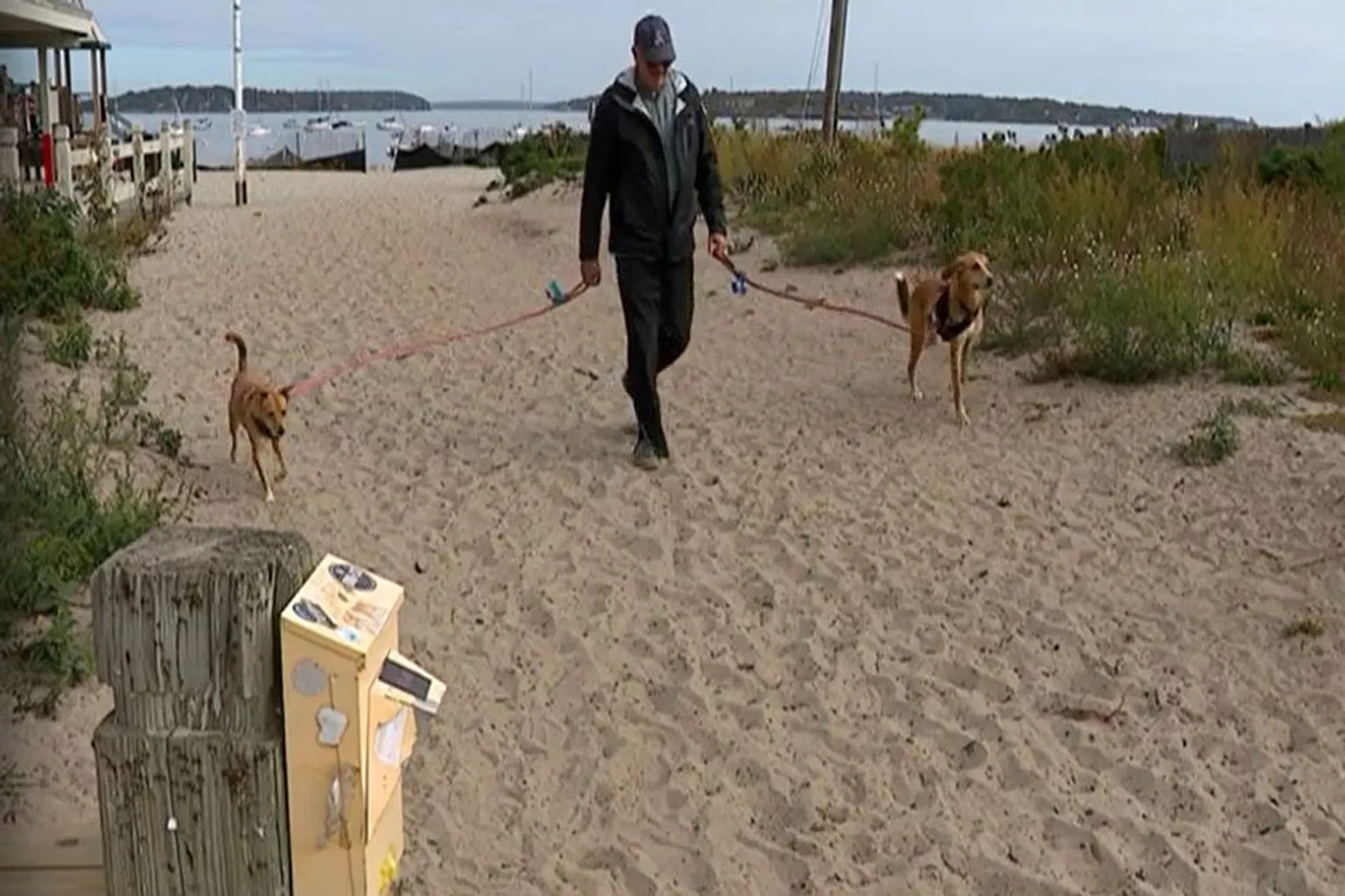 Willard Beach Off Leash Dog Area in South Portland, Maine - Main Image