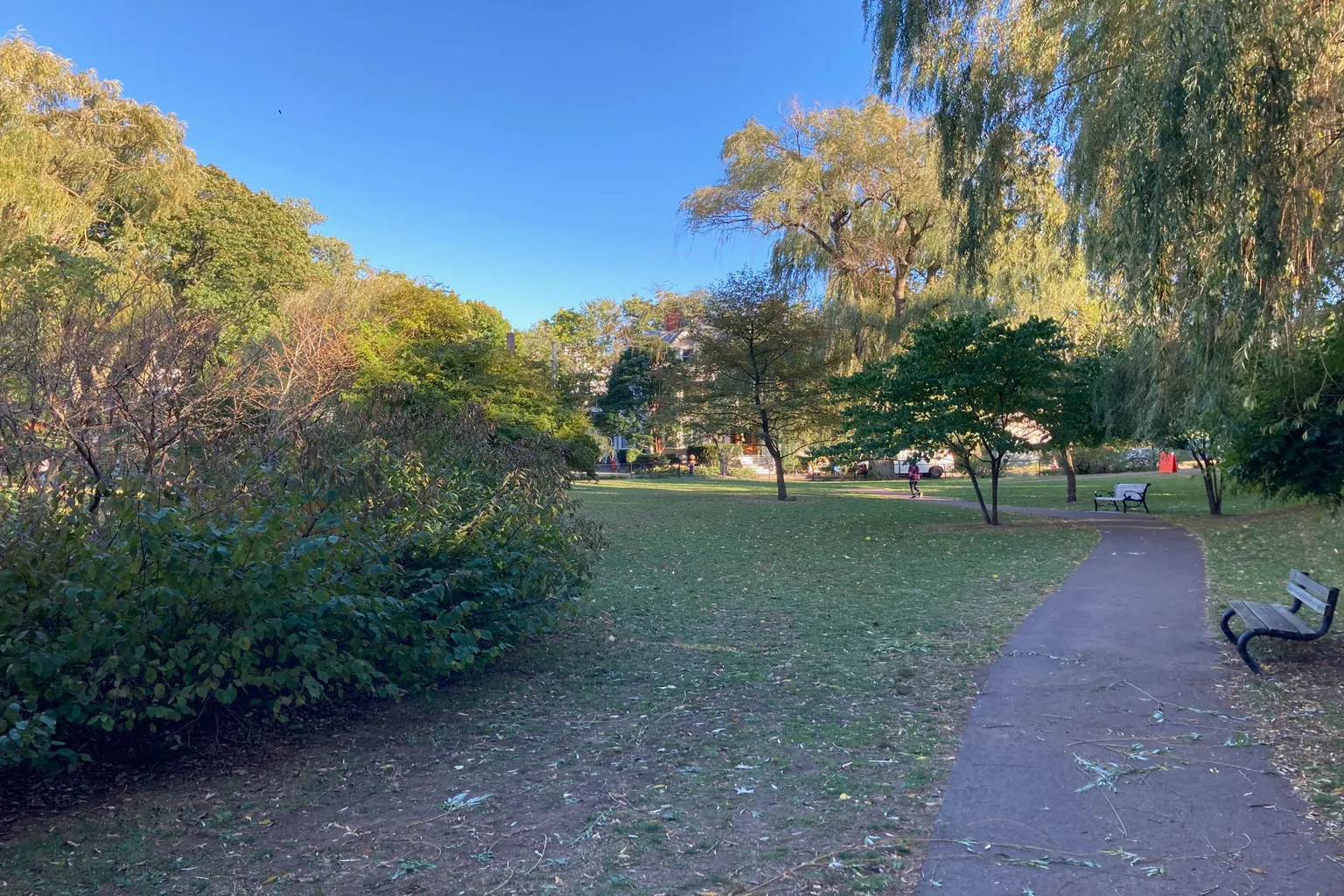 Griggs Park Off Leash Dog Area in Brookline, Massachusetts