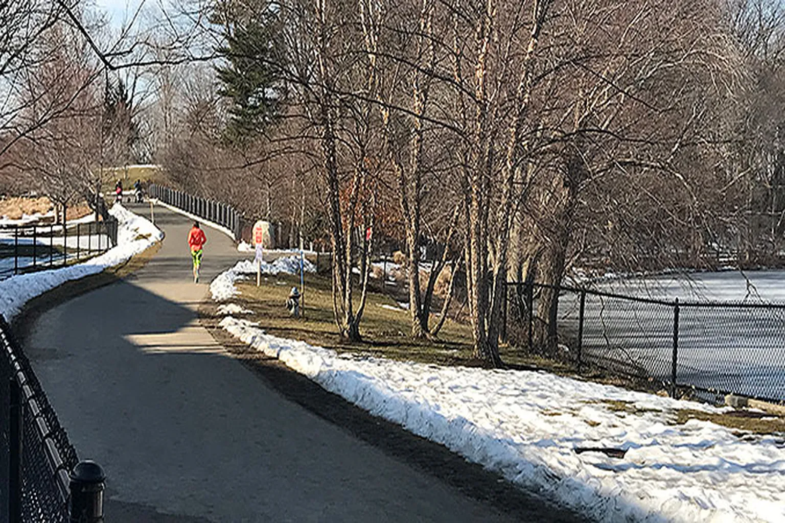 Fresh Pond Reservation Dog Park in Cambridge, Massachusetts
