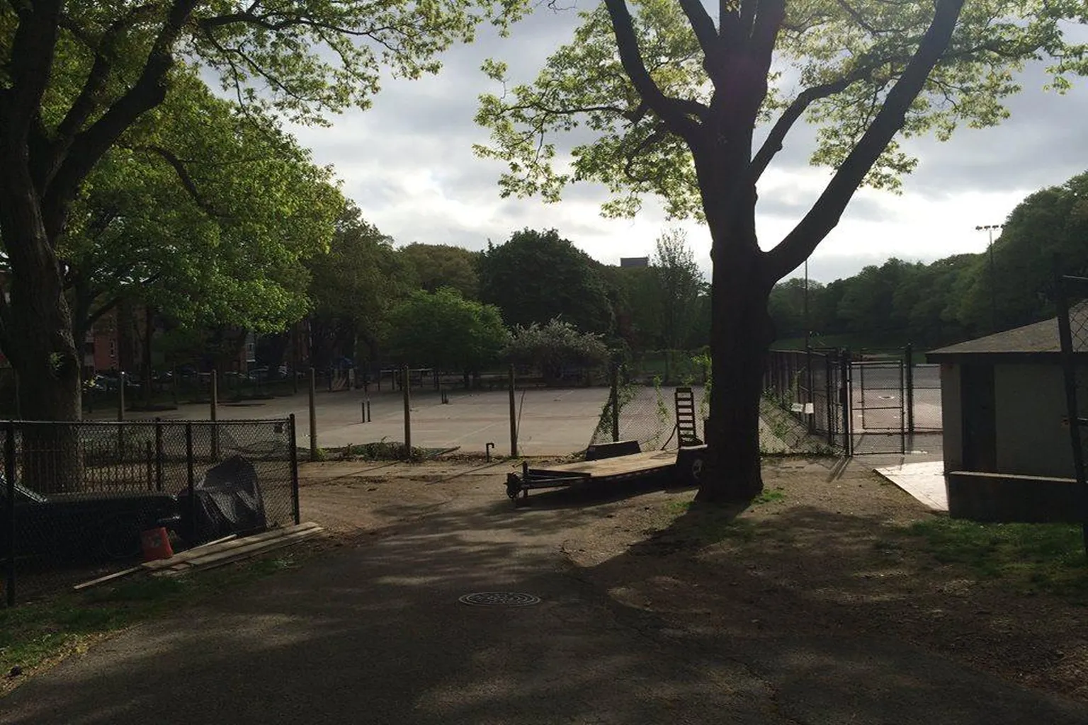 Jean Waldstein Playground Off Leash Dog Area in Brookline, Massachusetts - Main Image