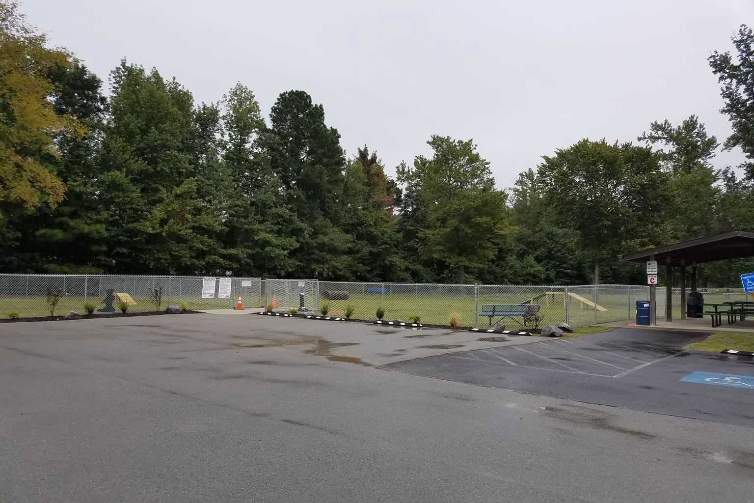 Cabot Dog Park in Newton, Massachusetts