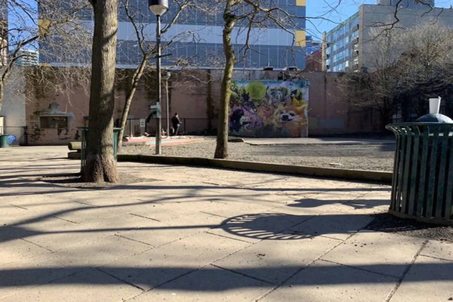 Regrade Park Off-Leash Area in Seattle, Washington - Main Image