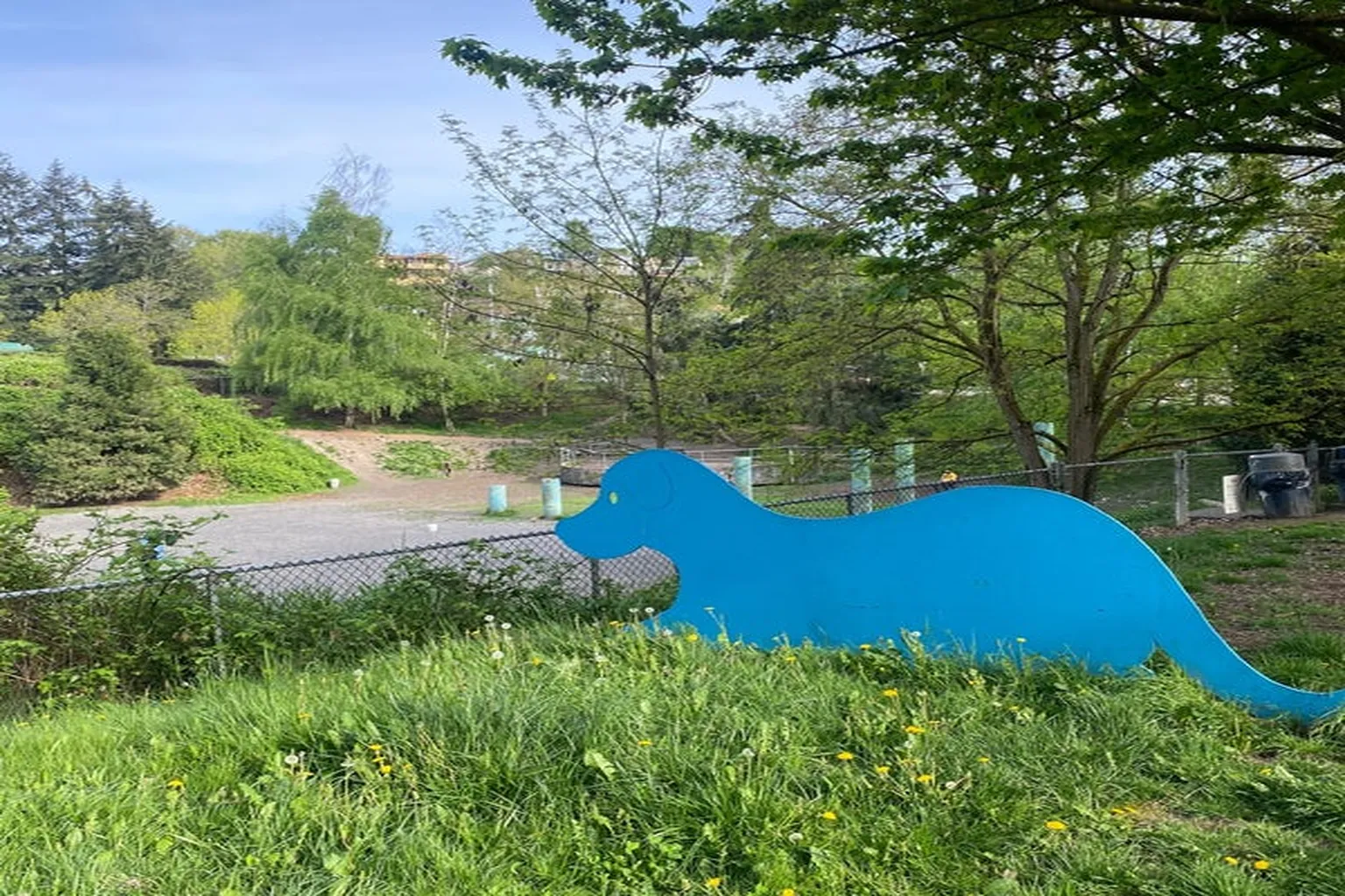 Blue Dog Pond in Seattle, Washington