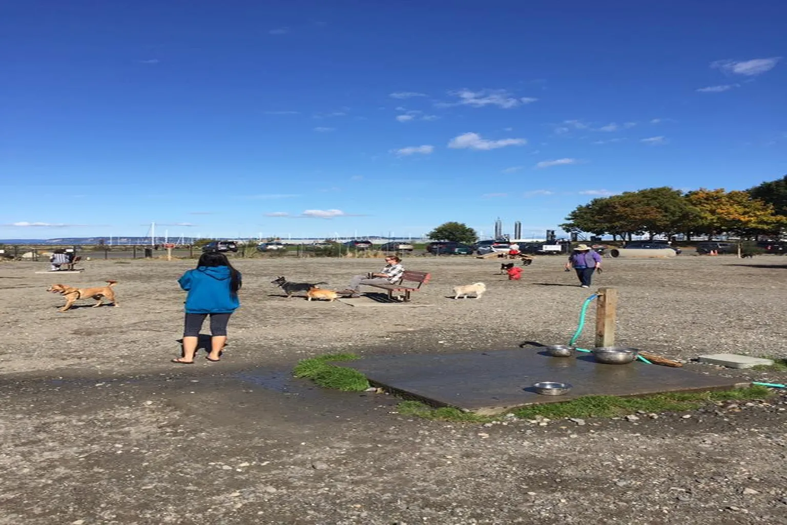 Edmonds Off-Leash Area in Edmonds, Washington