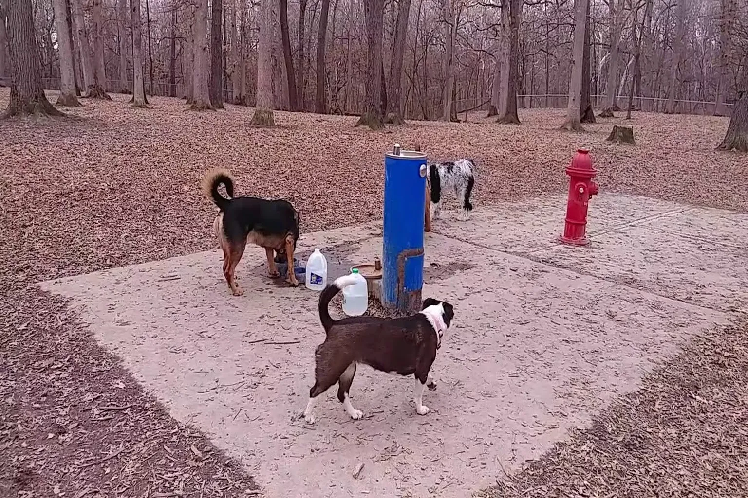 Oakwood Dog Park - Morton in Morton, Illinois