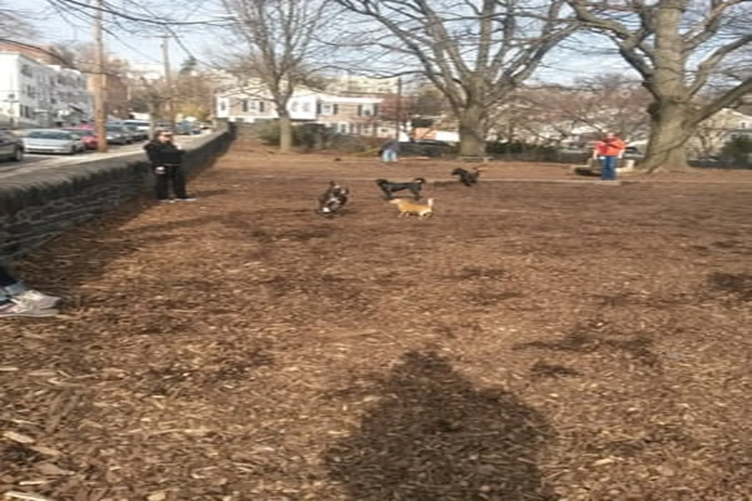 Pretzel Dog Park (Manayunk Park) in Philadelphia, Pennsylvania