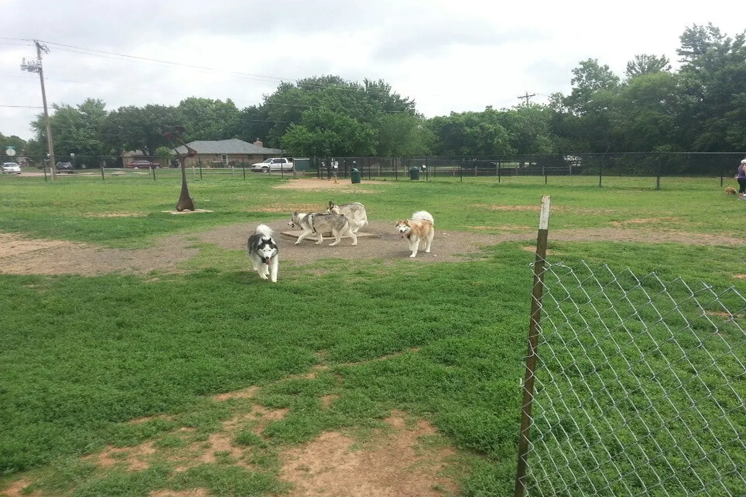 Bark Place Dog Park in Edmond, Oklahoma