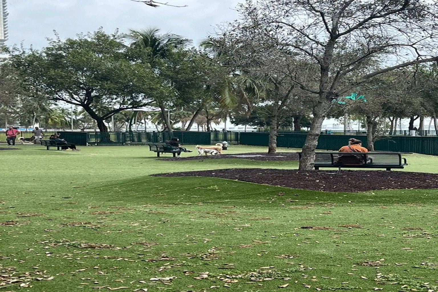 Pace Park in Miami, Florida