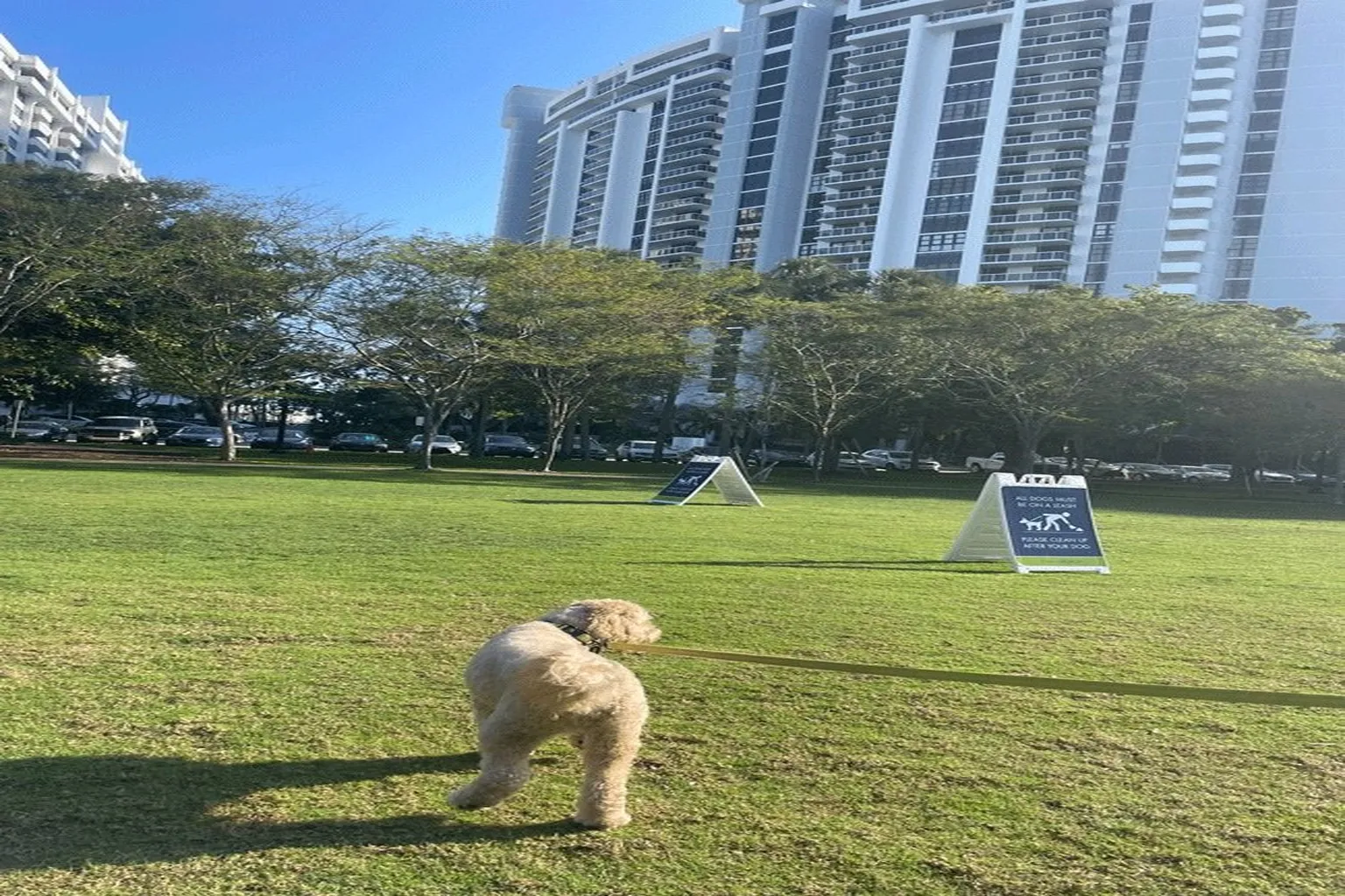 Belle Isle Dog Park in Miami Beach, Florida