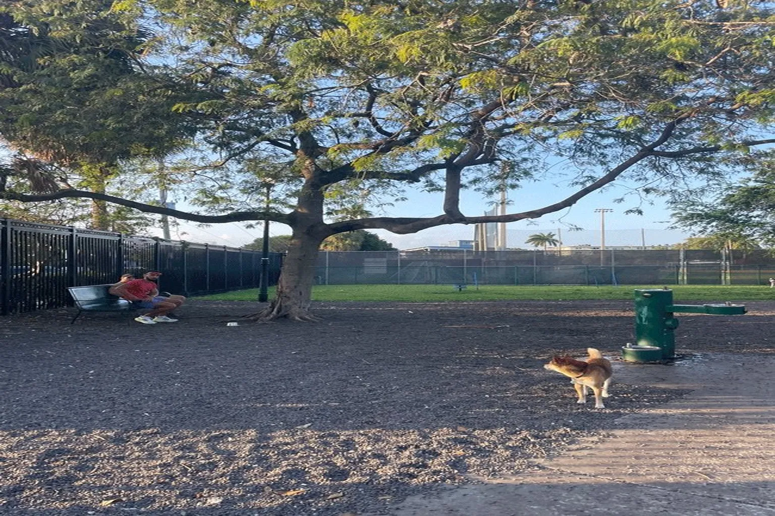 Flamingo Dog Park in Miami Beach, Florida