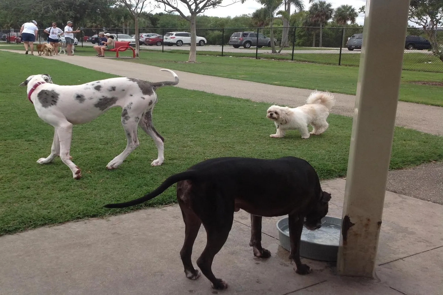 Barkham Dog Park (At Markham Park) in Sunrise, Florida