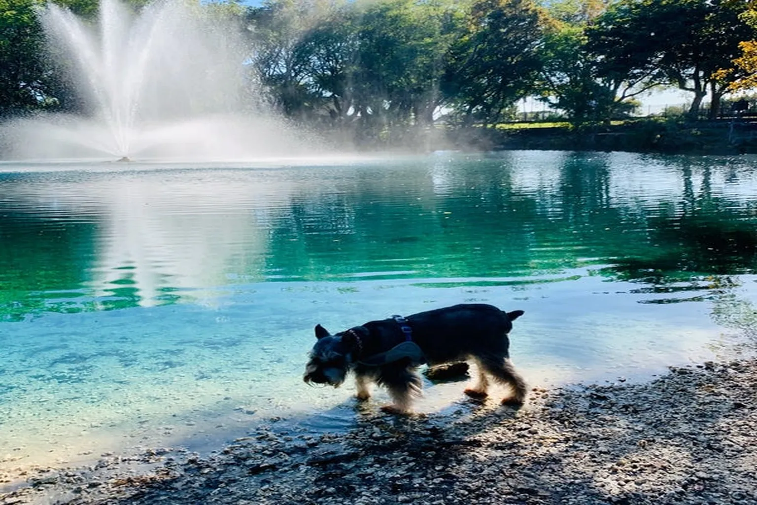 Perrine Wayside Dog Park in Palmetto Bay, Florida - Main Image
