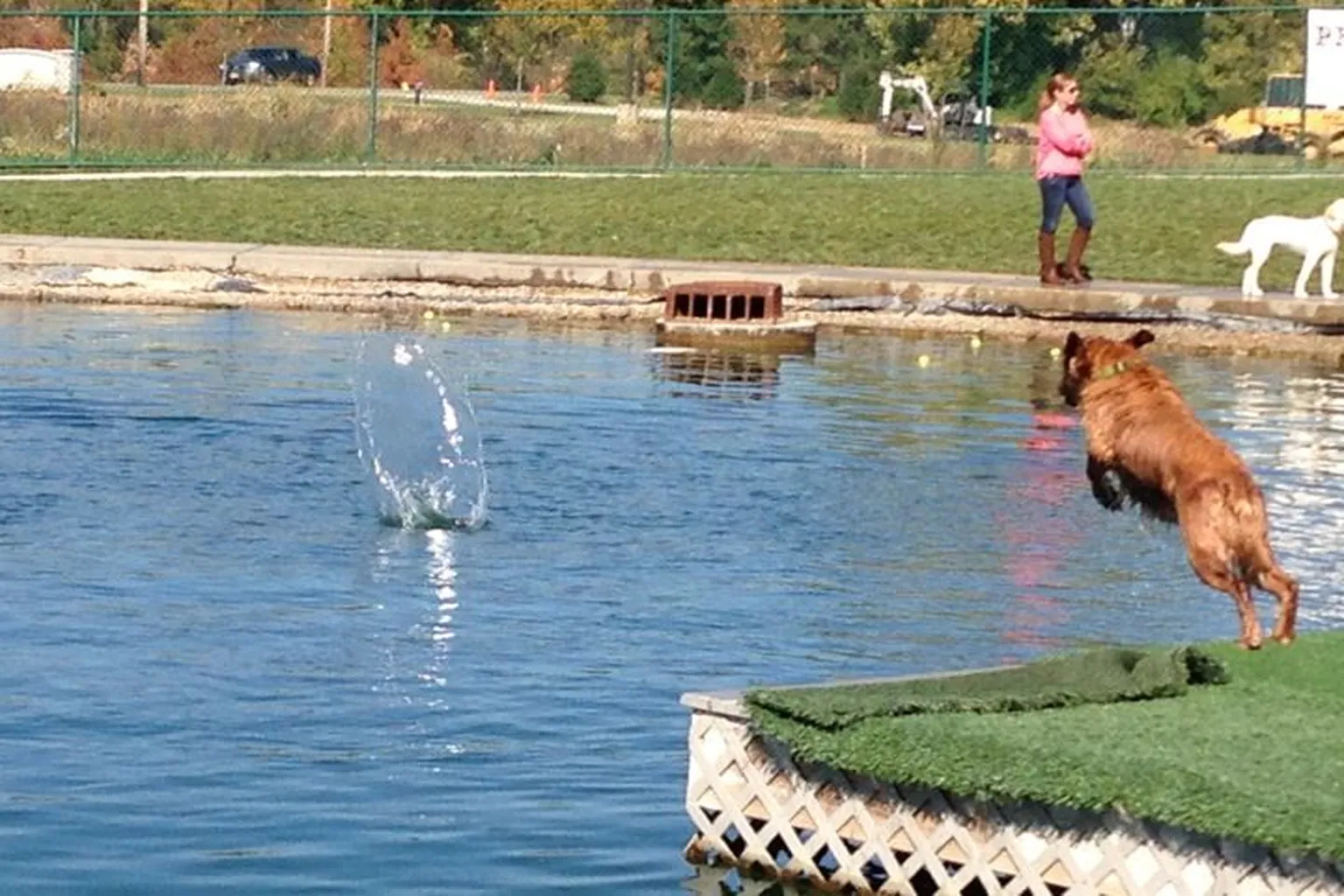 Wags Park - Newtown in Newtown, Ohio - Main Image