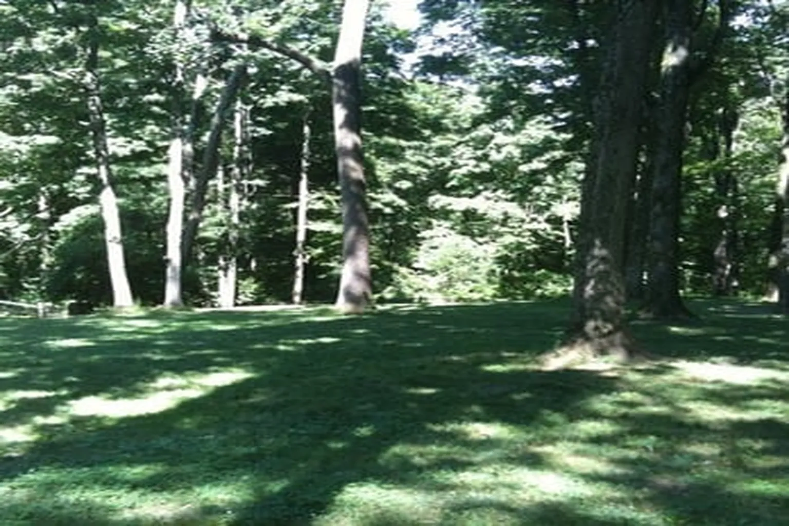 Symmes Township Dog Park in Symmes Township, Ohio