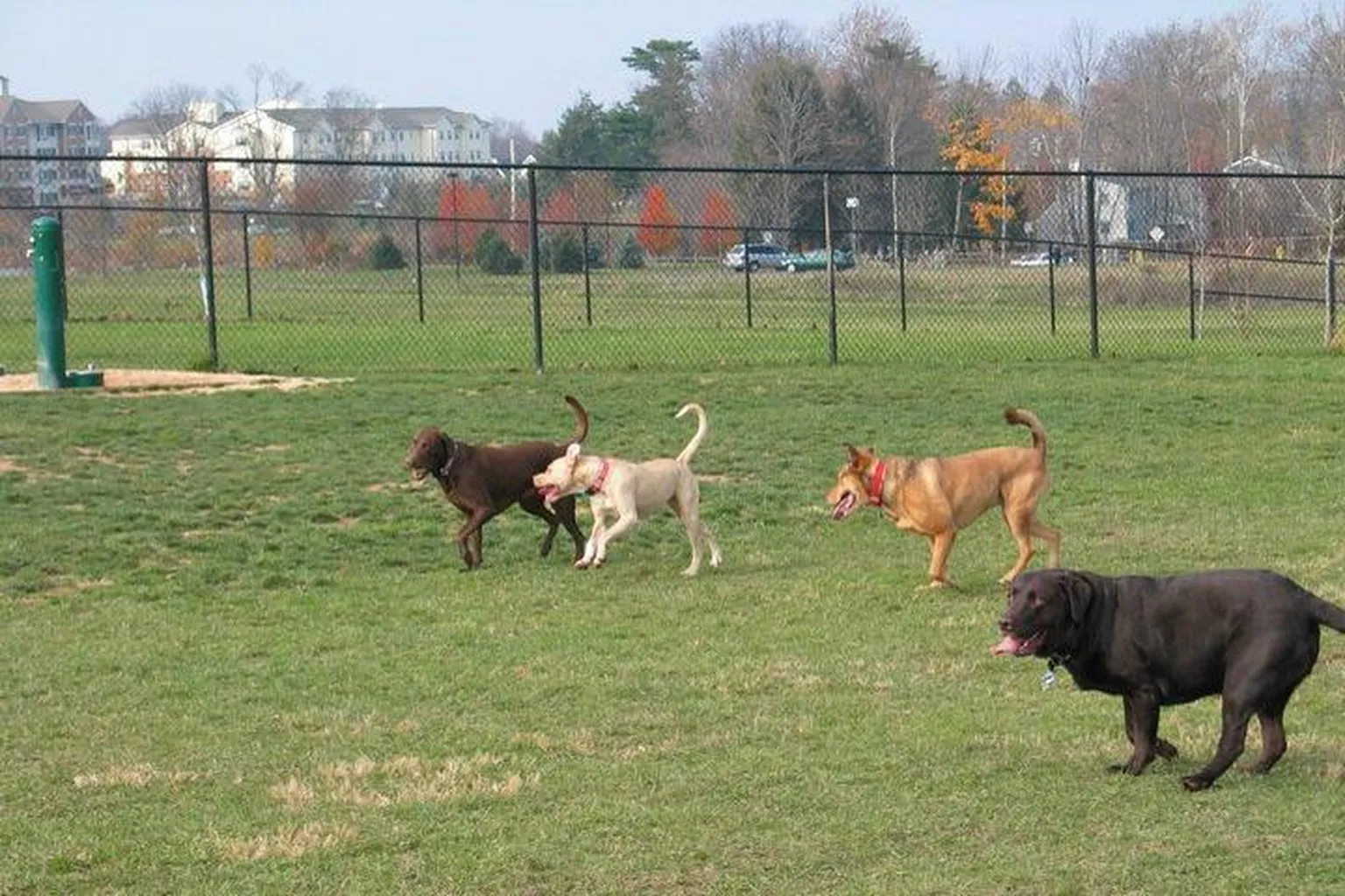 Warminster Township Bark Park in Warminster, Pennsylvania