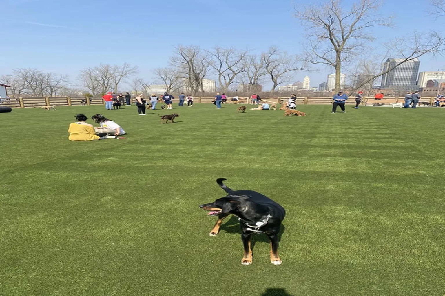 Scioto Audubon Dog Park in Columbus, Ohio, dog-park