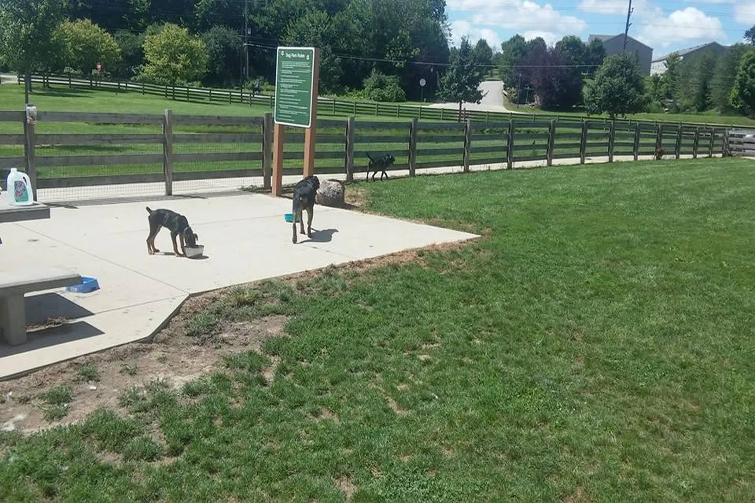 Three Creeks Dog Park (At Sycamore Fields) in Columbus, Ohio - Main Image