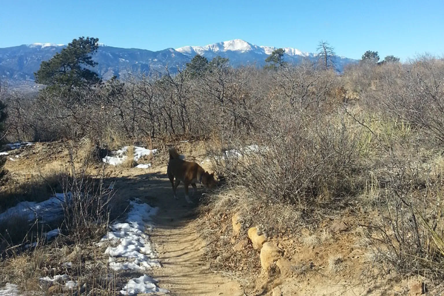 Palmer Dog Park - Colorado Springs in Colorado Springs, Colorado - Main Image