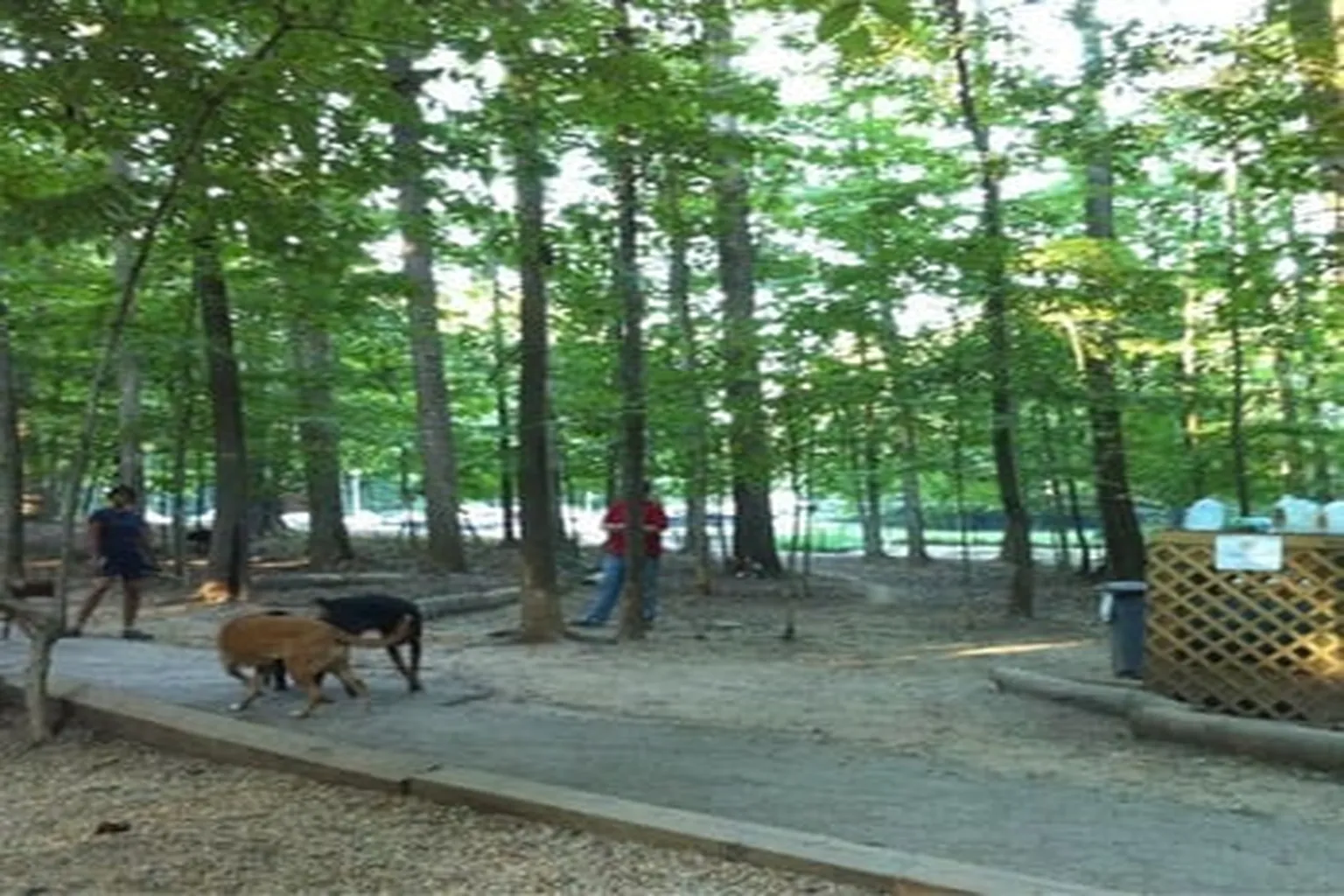 Brook Run Dog Park in Dunwoody, Georgia