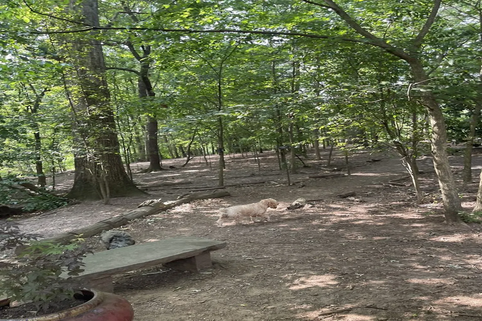Oakhurst Dog Park - Decatur in Decatur, Georgia