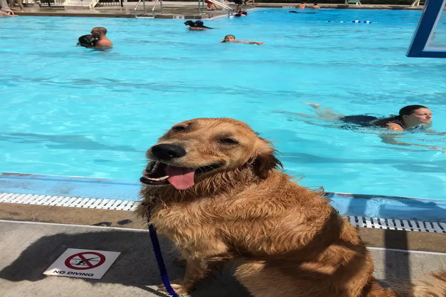 Cico Dog Park in Manhattan, Kansas