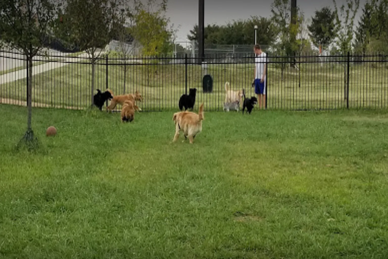 Lister Dog Park in St Louis, Missouri