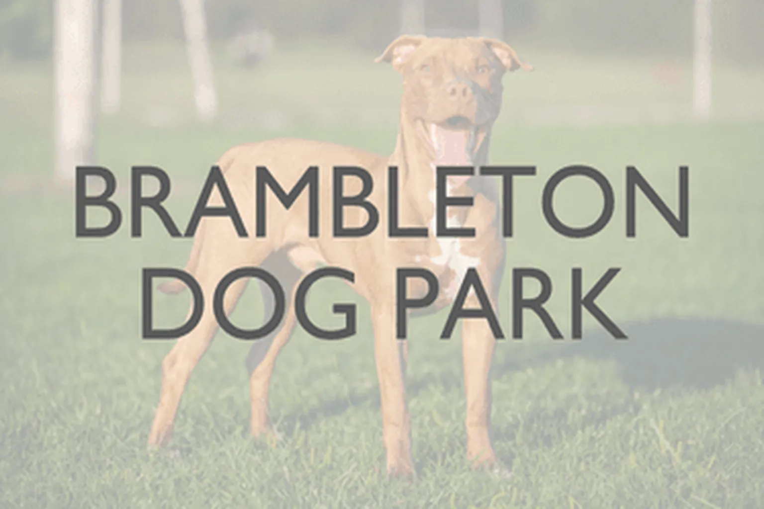 Brambleton Dog Park in Norfolk, Virginia