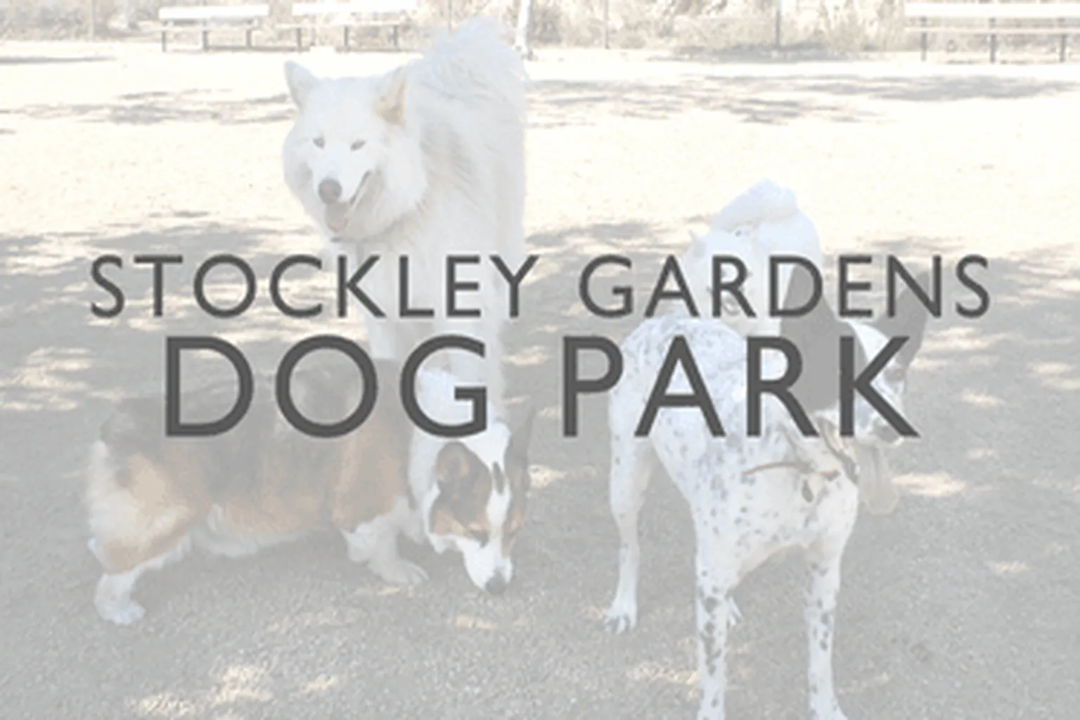 Dune Street Dog Park in Norfolk, Virginia