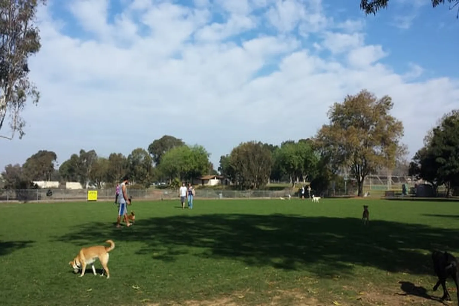 Kearny Mesa Community Dog Park in San Diego, California