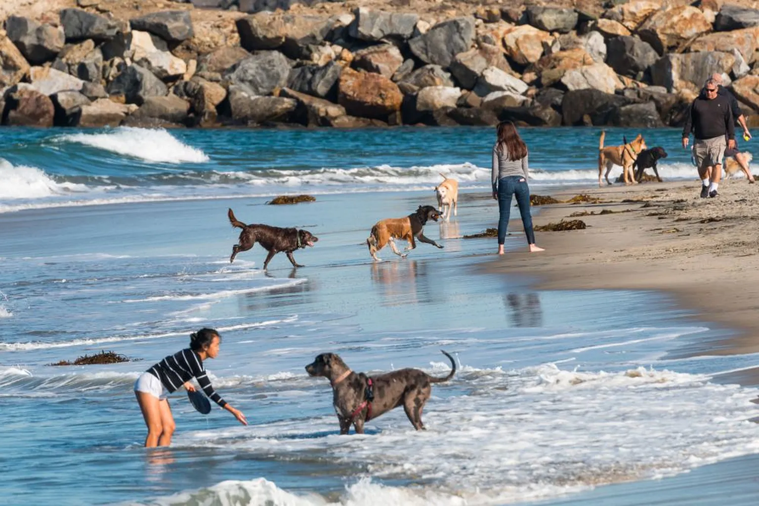 Point La Jolla Beaches in San Diego, California