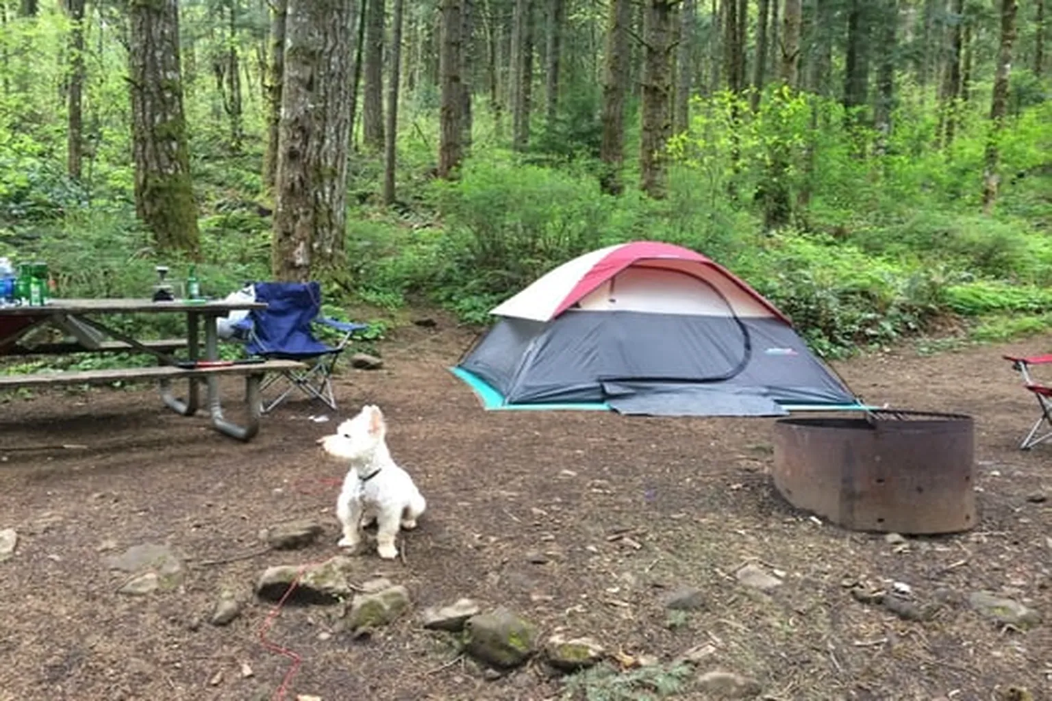 Ainsworth State Park in Dodson, Oregon