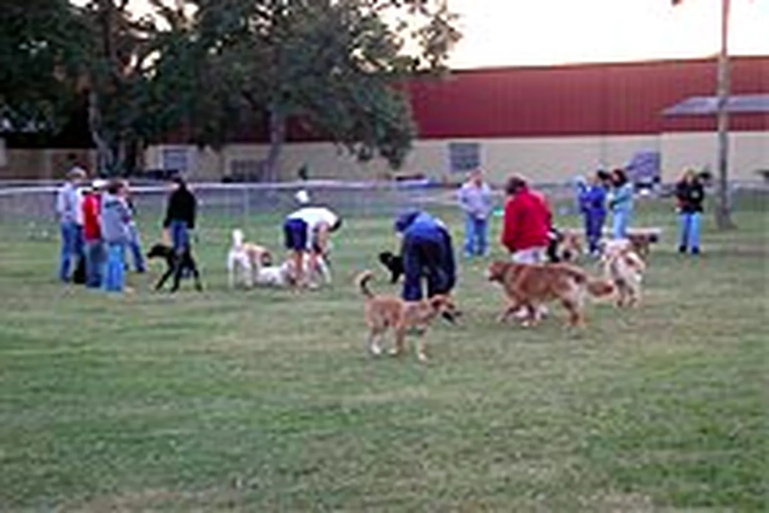 Bark Park Dog Park - Isle Of The Palms in Isle Of The Palms, South Carolina