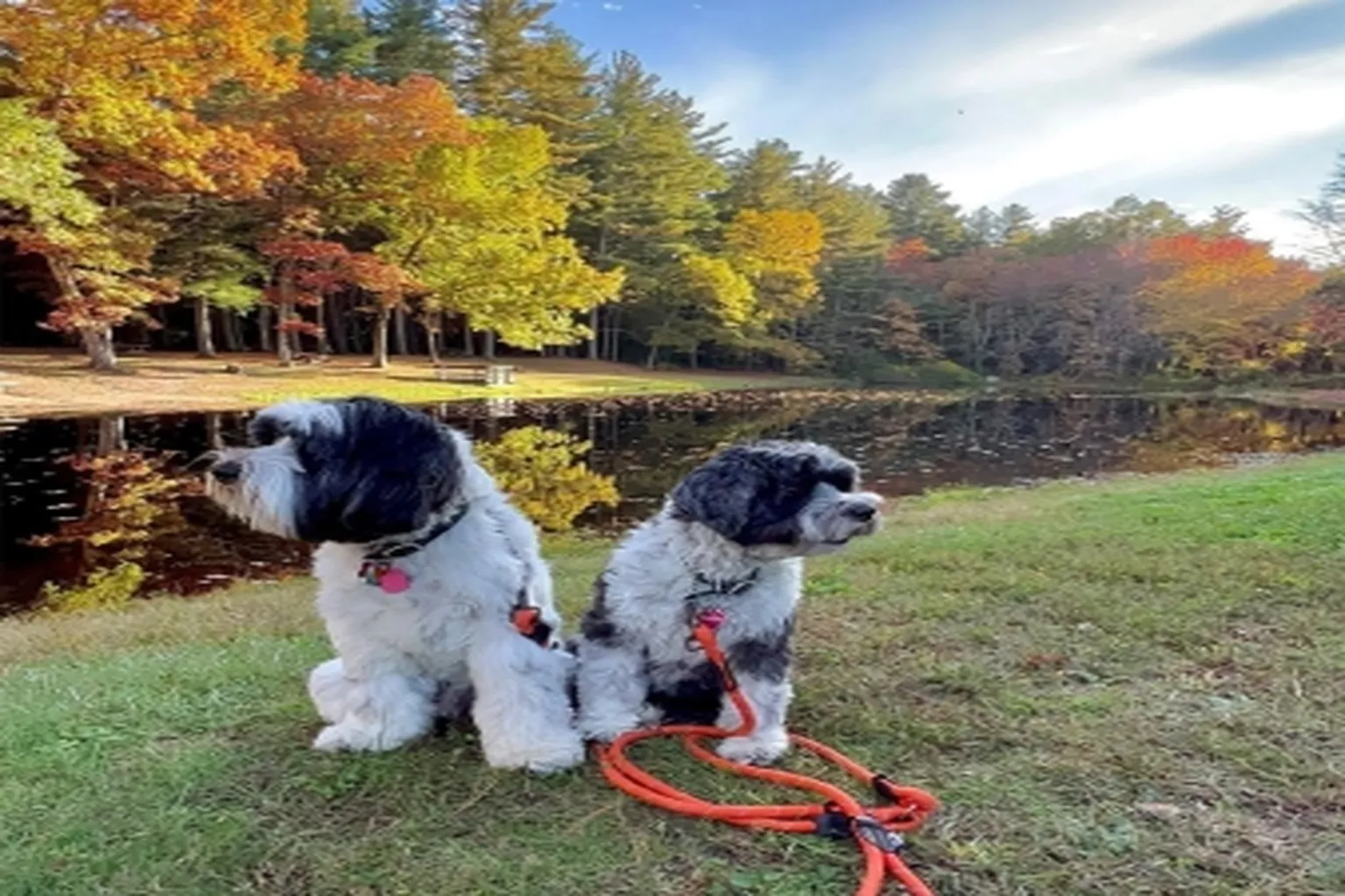 Stratton Brook State Park in Simsbury, Connecticut