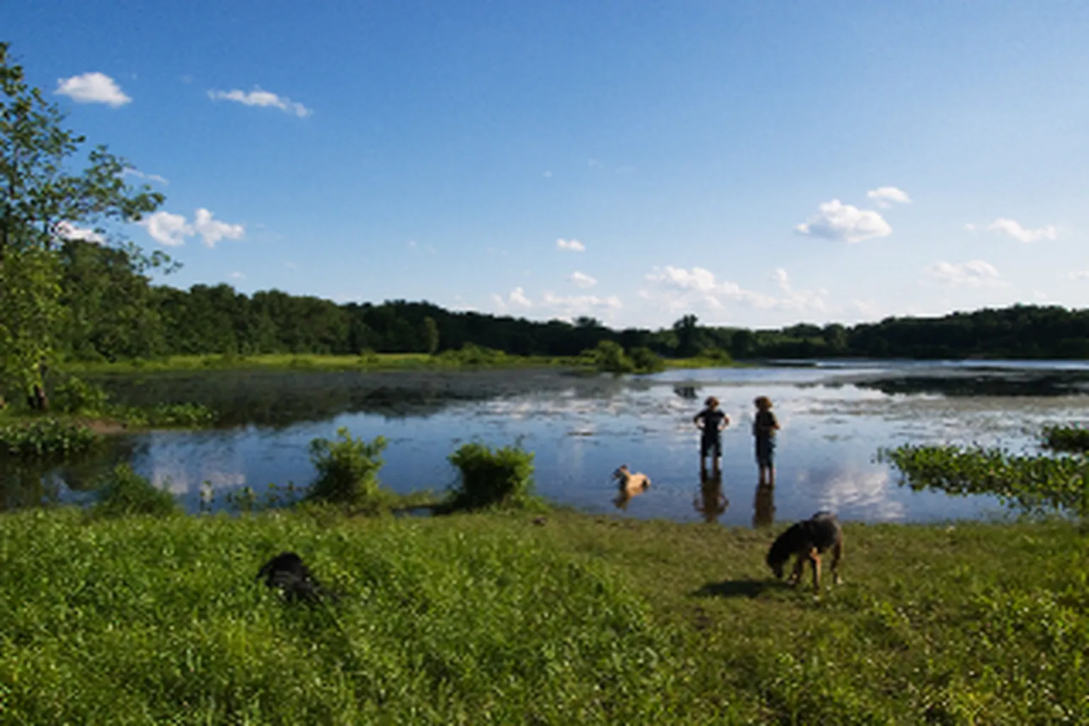 Nod Brook in Simsbury, Connecticut