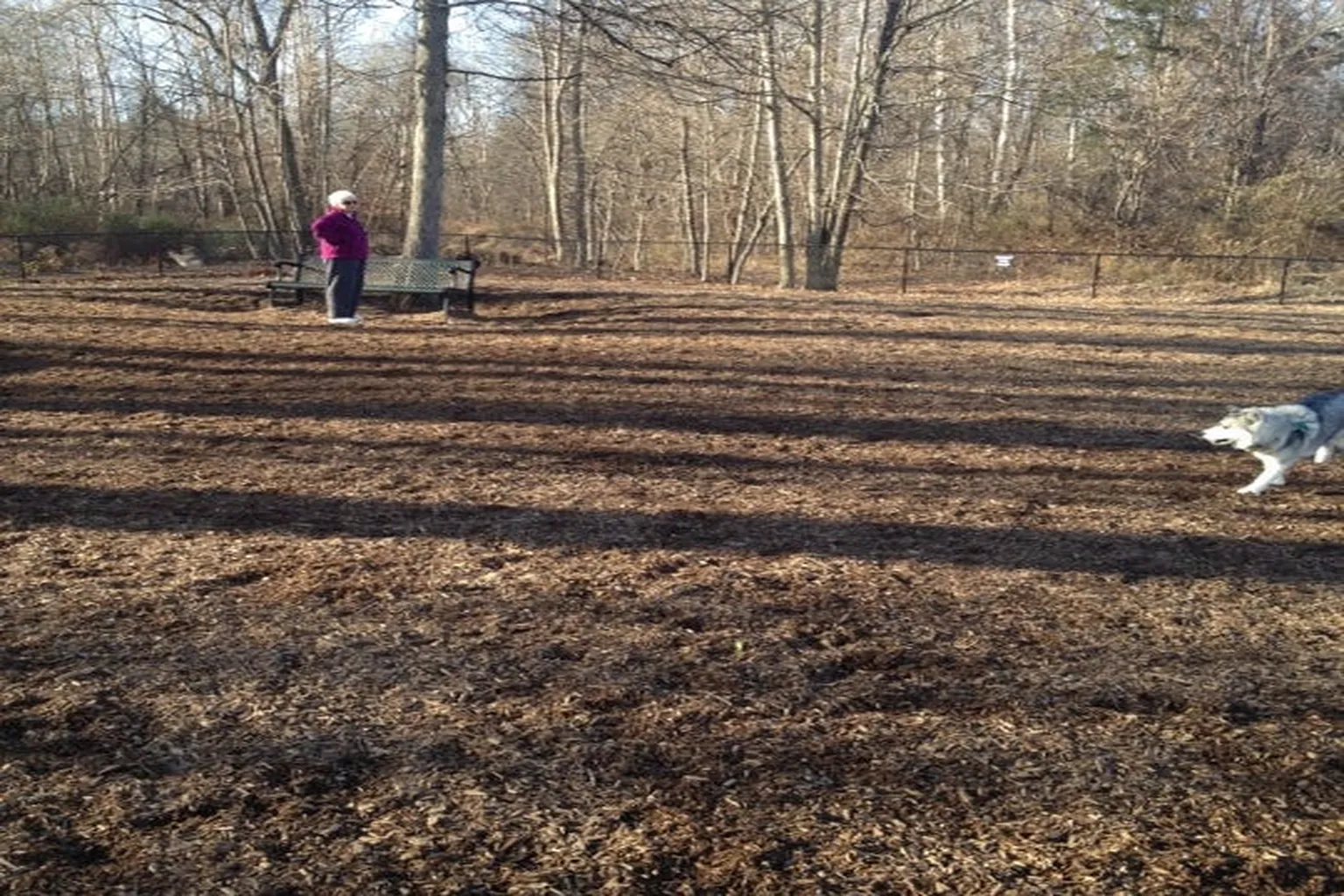Granby Dog Park (At Salmon Brook Park) in Granby, Connecticut - Main Image