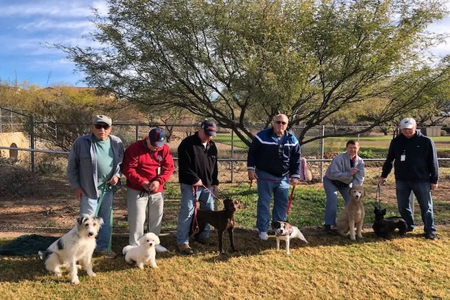 Dexter Place - Saddlebrooke Dog Park in Tucson, Arizona - Main Image