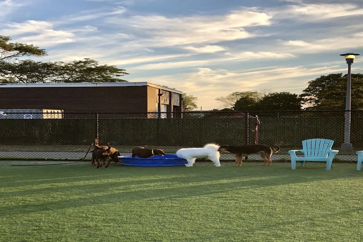Wantagh Dog Park in Wantagh, New York