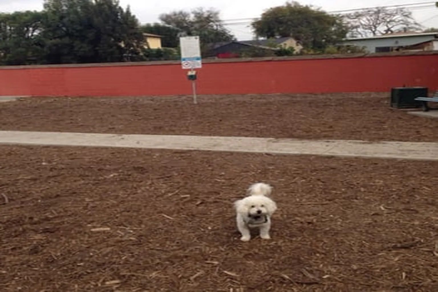Wrigley Heights Dog Park in Long Beach, California